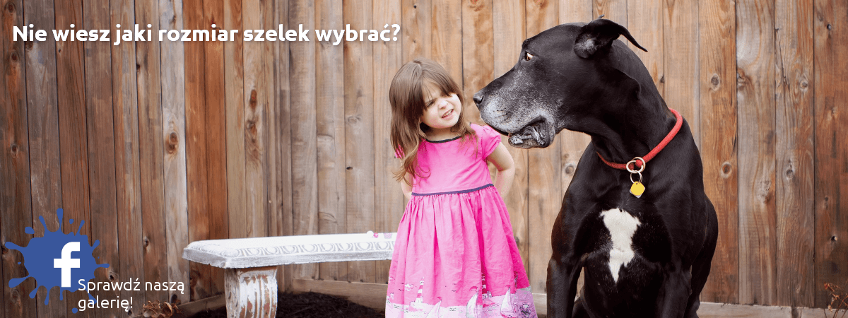 galeria z psami w szelkach tiptop
